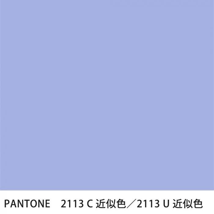  PANTONE 2113C2113U