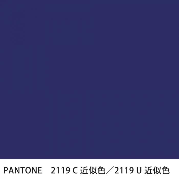  PANTONE 2119C2119U