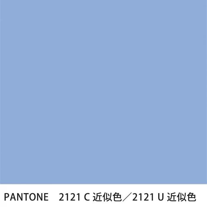  PANTONE 2121C2121U