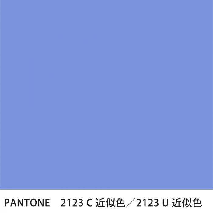  PANTONE 2123C2123U