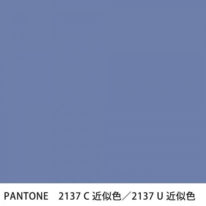  PANTONE 2137C2137U