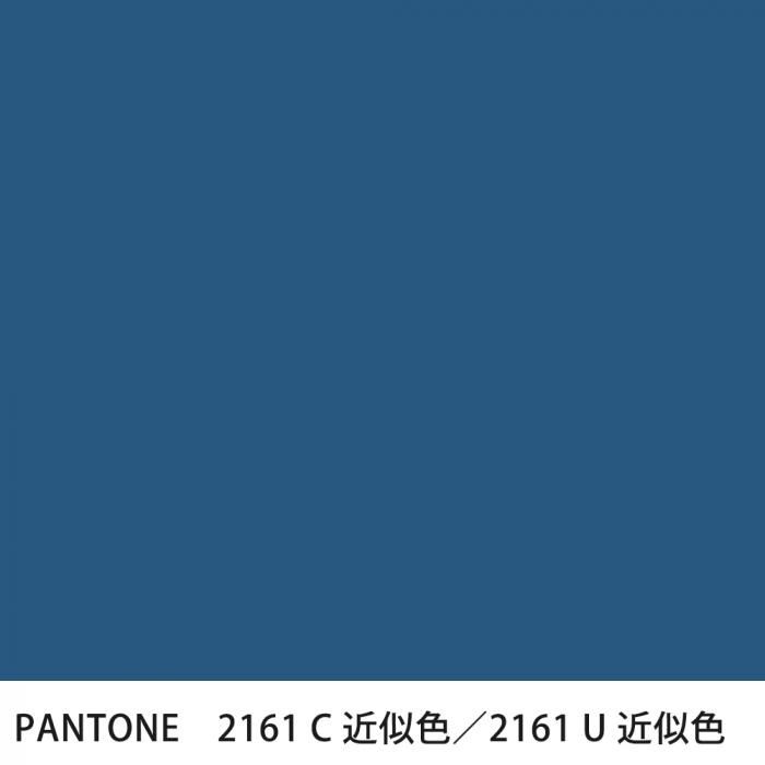  PANTONE 2161C2161U