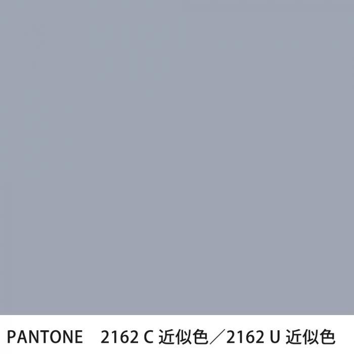  PANTONE 2162C2162U