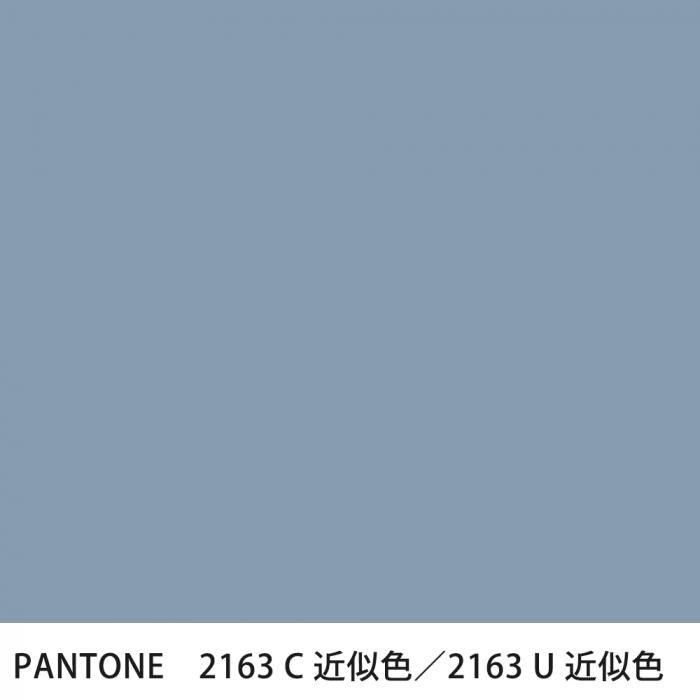  PANTONE 2163C2163U