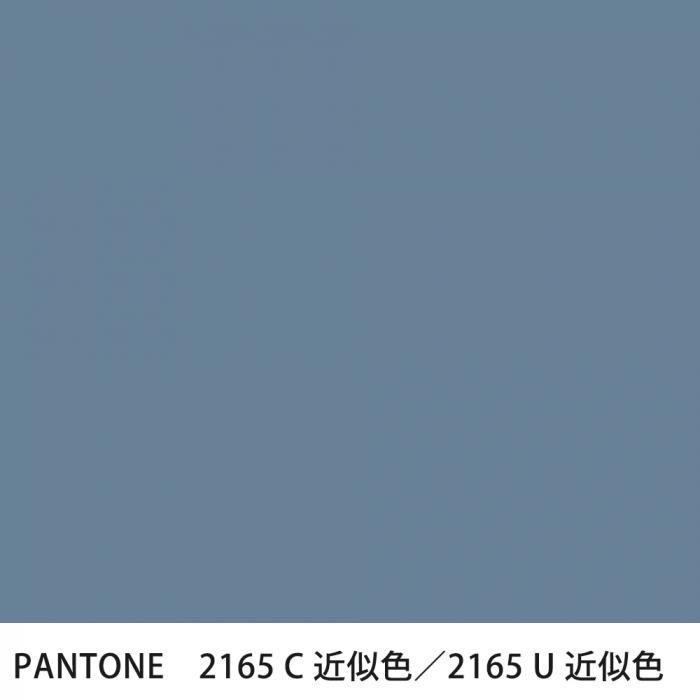  PANTONE 2165C2165U