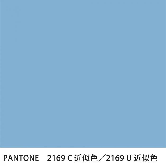  PANTONE 2169C2169U