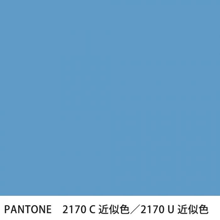  PANTONE 2170C2170U