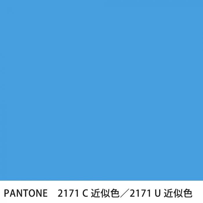  PANTONE 2171C2171U