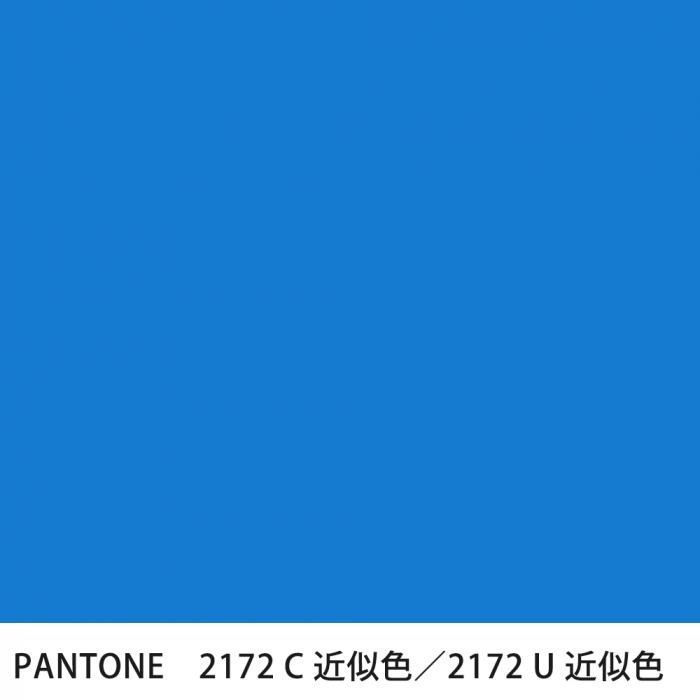  PANTONE 2172C2172U