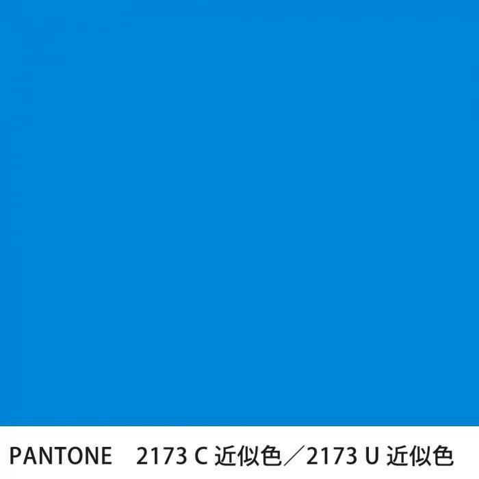  PANTONE 2173C2173U