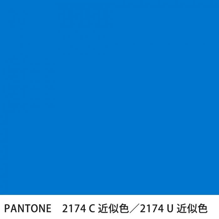  PANTONE 2174C2174U