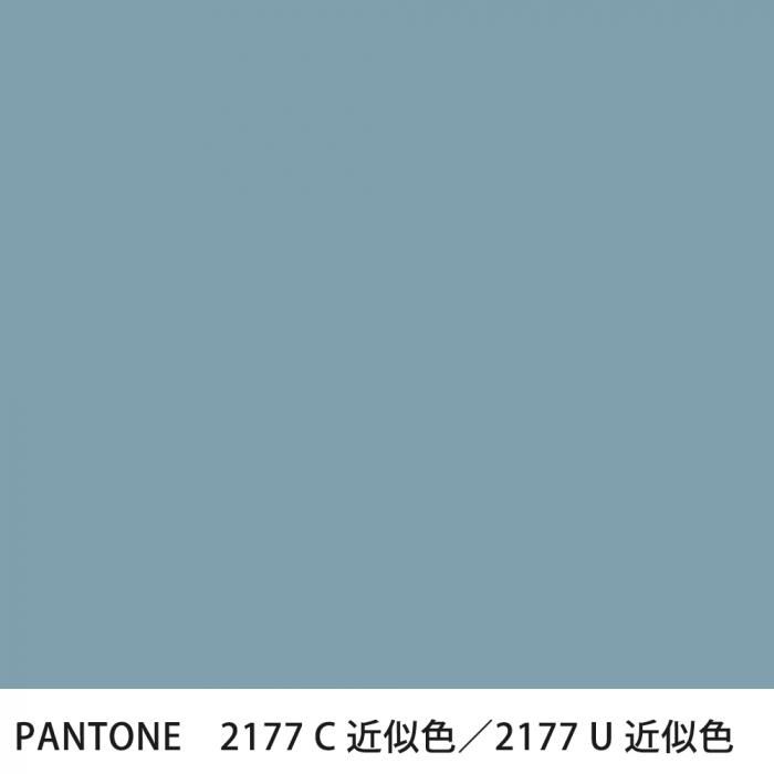  PANTONE 2177C2177U