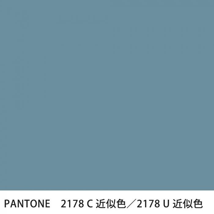  PANTONE 2178C2178U