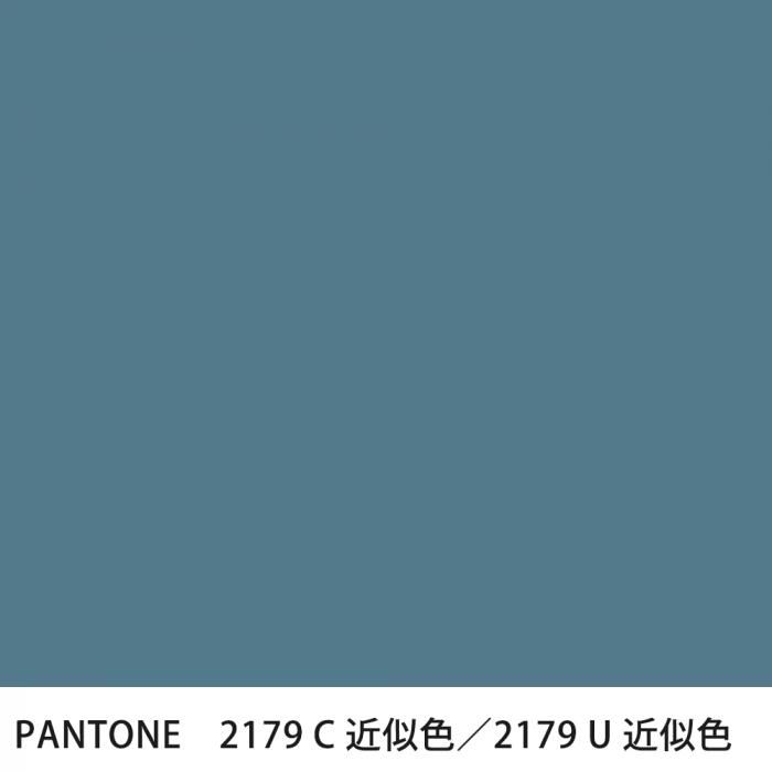  PANTONE 2179C2179U