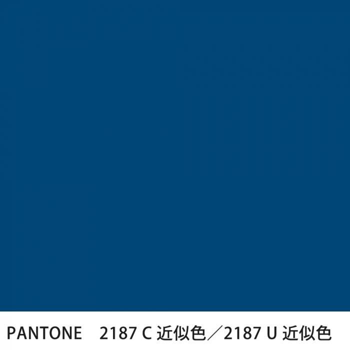  PANTONE 2187C2187U