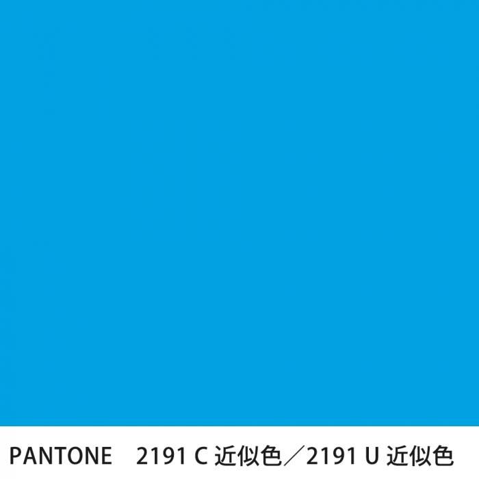  PANTONE 2191C2191U
