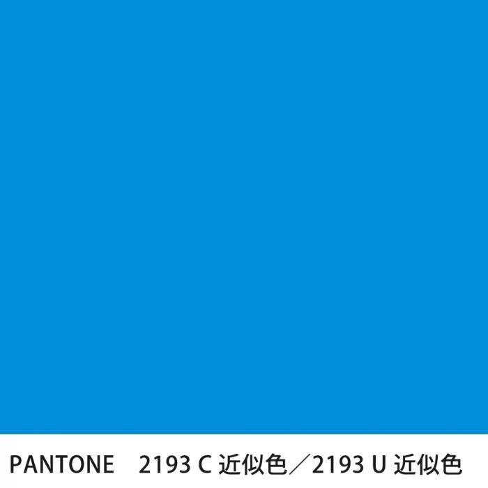  PANTONE 2193C2193U