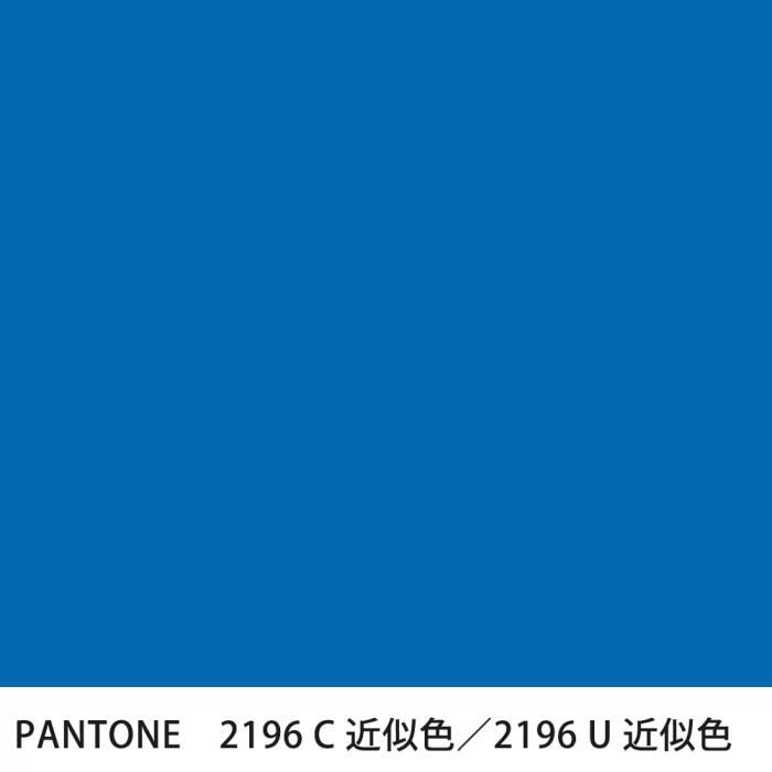  PANTONE 2196C2196U