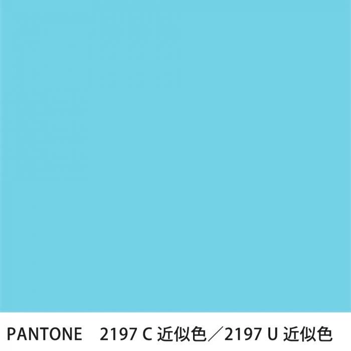  PANTONE 2197C2197U