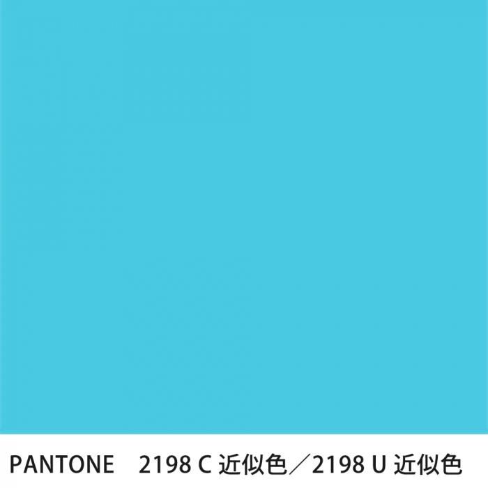  PANTONE 2198C2198U