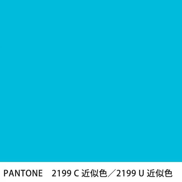  PANTONE 2199C2199U