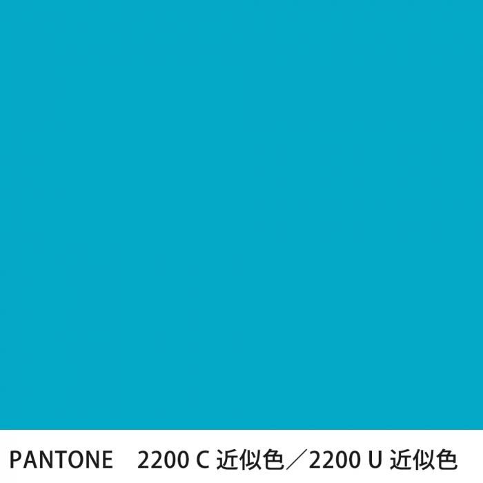  PANTONE 2200C2200U