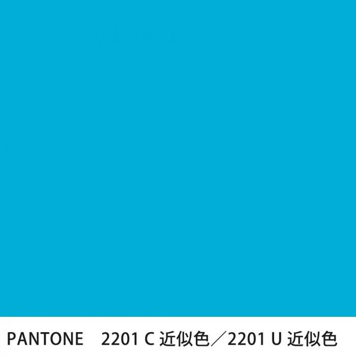  PANTONE 2201C2201U