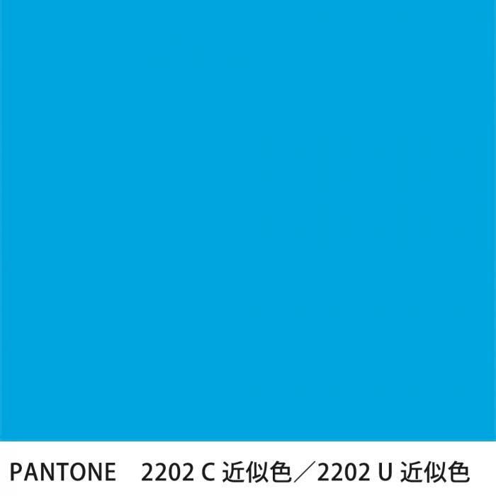  PANTONE 2202C2202U