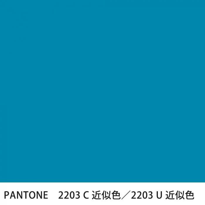  PANTONE 2203C2203U