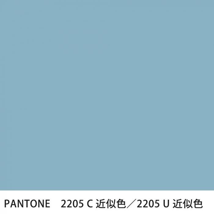  PANTONE 2205C2205U