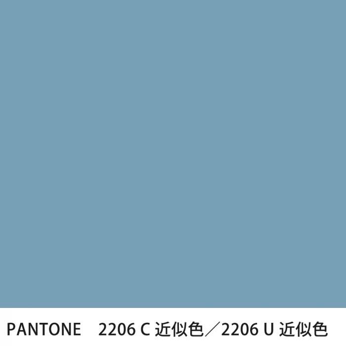  PANTONE 2206C2206U