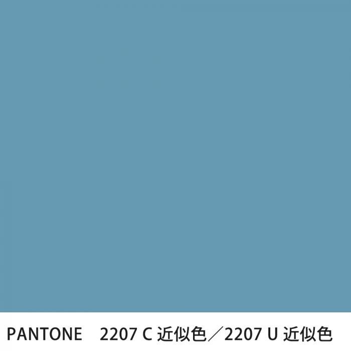  PANTONE 2207C2207U