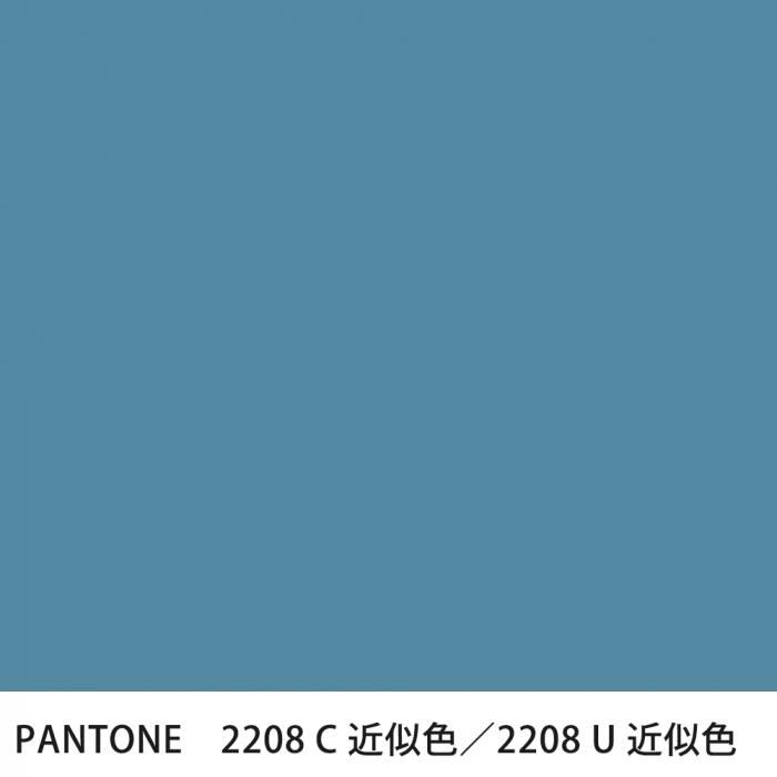  PANTONE 2208C2208U