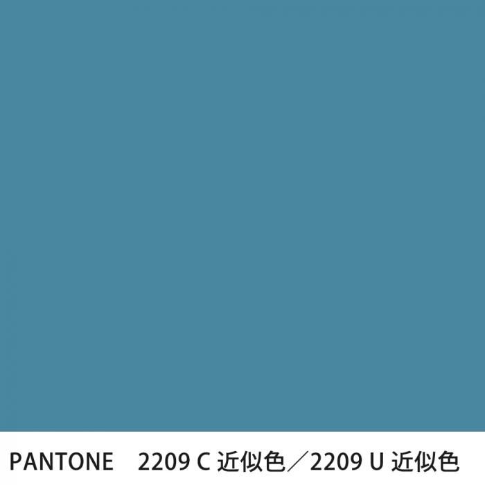  PANTONE 2209C2209U