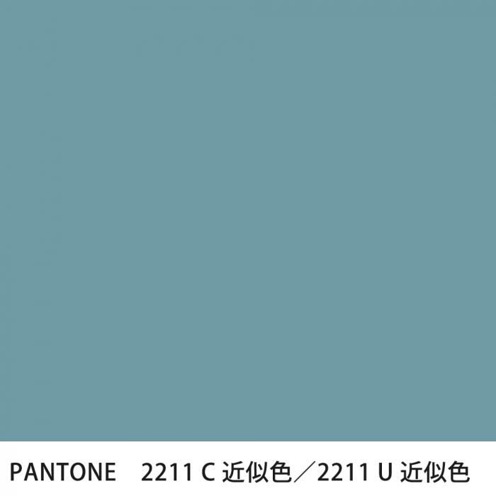  PANTONE 2211C2211U