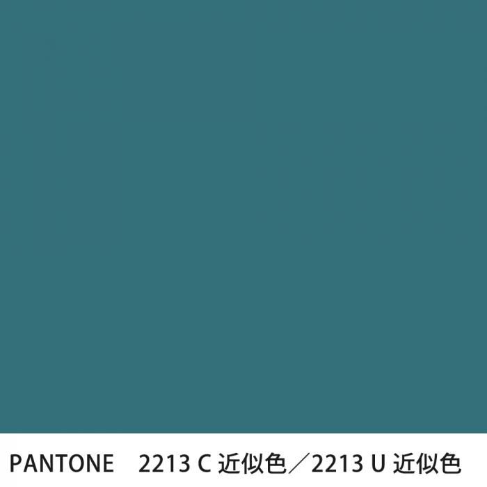  PANTONE 2213C2213U