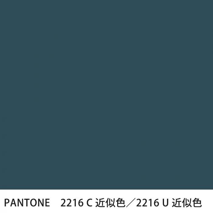  PANTONE 2216C2216U