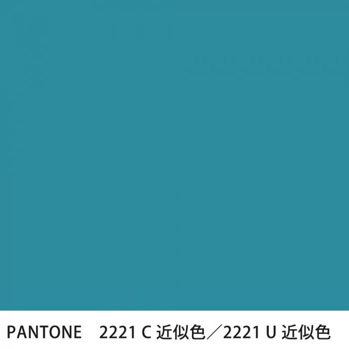  PANTONE 2221C2221U