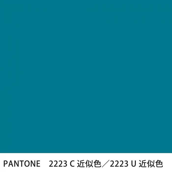  PANTONE 2223C2223U