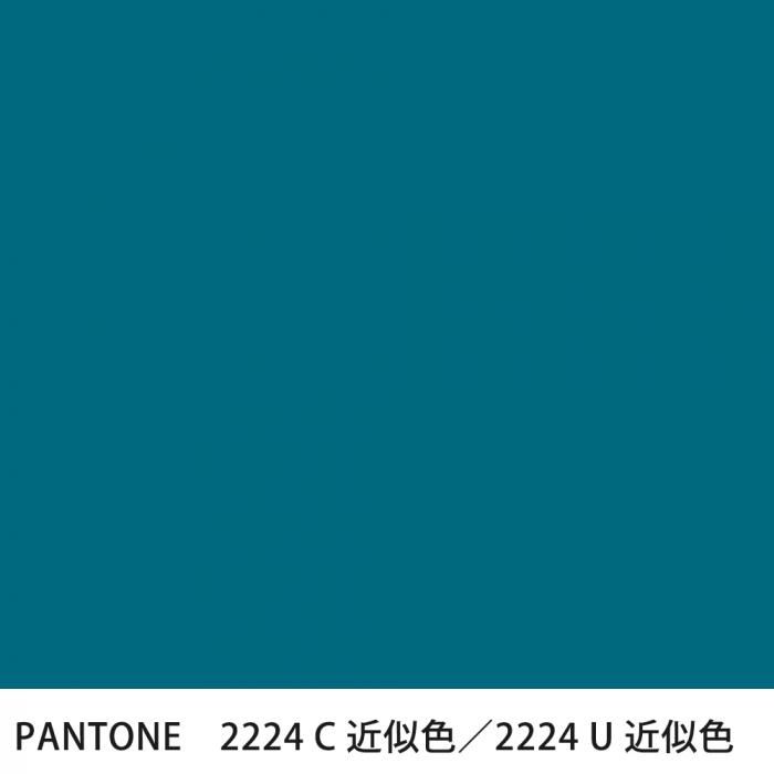  PANTONE 2224C2224U