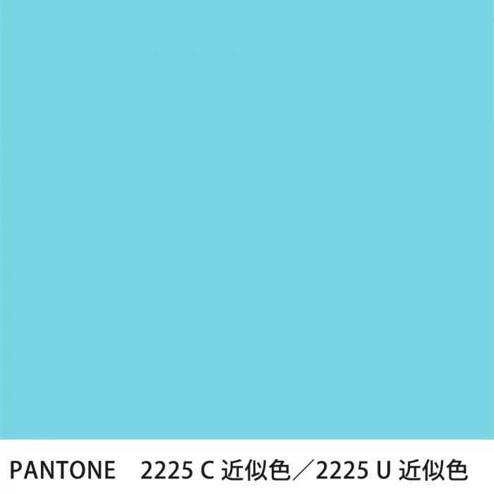  PANTONE 2225C2225U