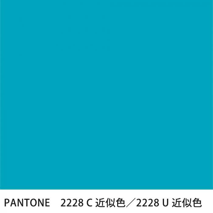  PANTONE 2228C2228U