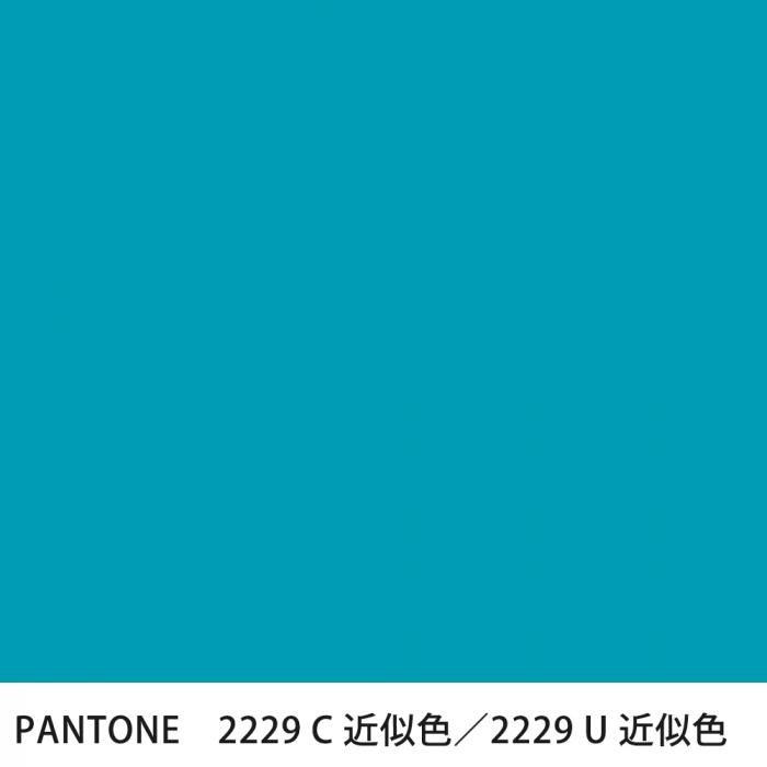  PANTONE 2229C2229U