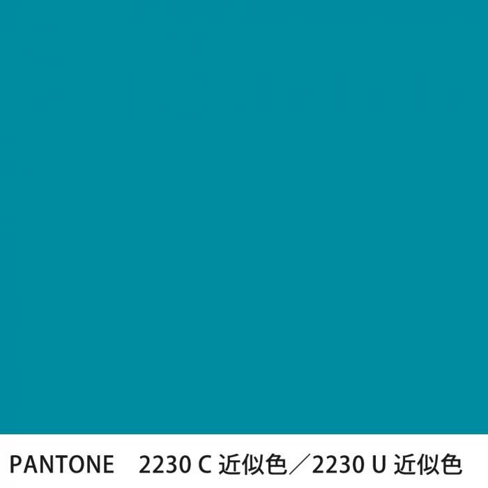  PANTONE 2230C2230U