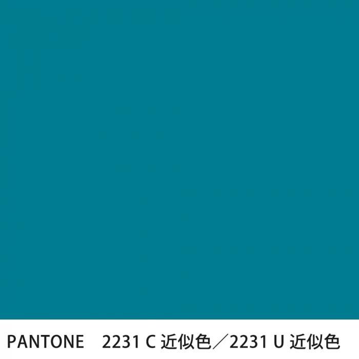  PANTONE 2231C2231U