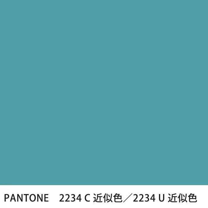  PANTONE 2234C2234U