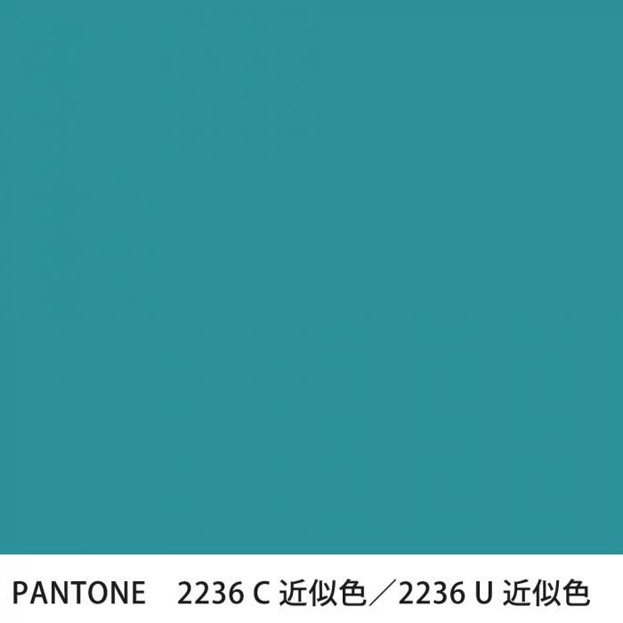  PANTONE 2236C2236U