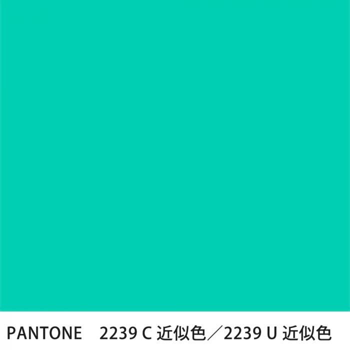  PANTONE 2239C2239U