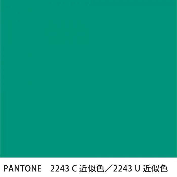  PANTONE 2243C2243U