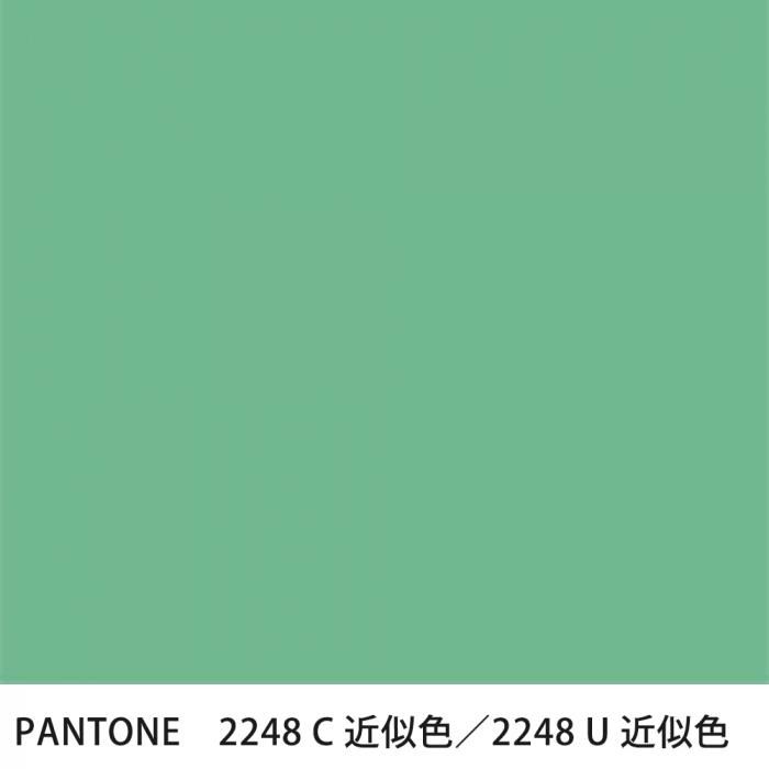  PANTONE 2248C2248U